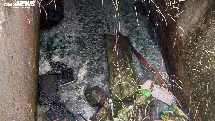 Dân sống cạnh hồ nuôi tôm hôi thối: 'Chúng tôi chịu hết nổi rồi' - 8