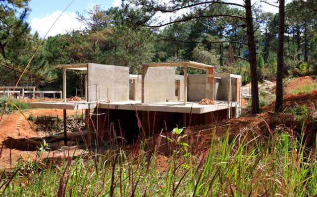 Đình chỉ dự án nghỉ dưỡng cao cấp xâm hại rừng phòng hộ - 3