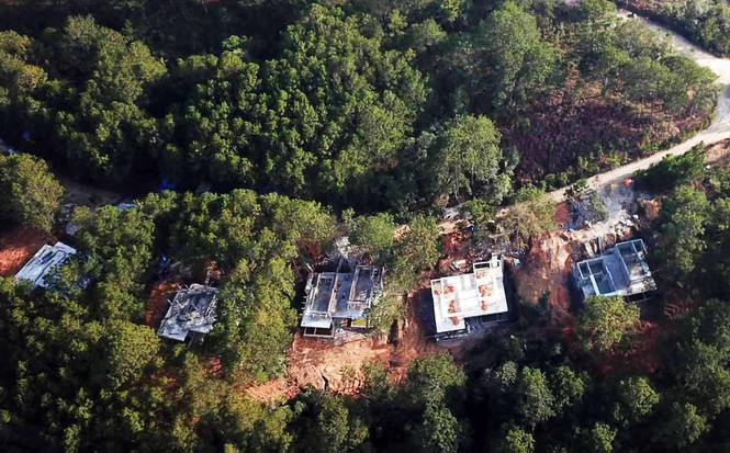 Đình chỉ dự án nghỉ dưỡng cao cấp xâm hại rừng phòng hộ - 2