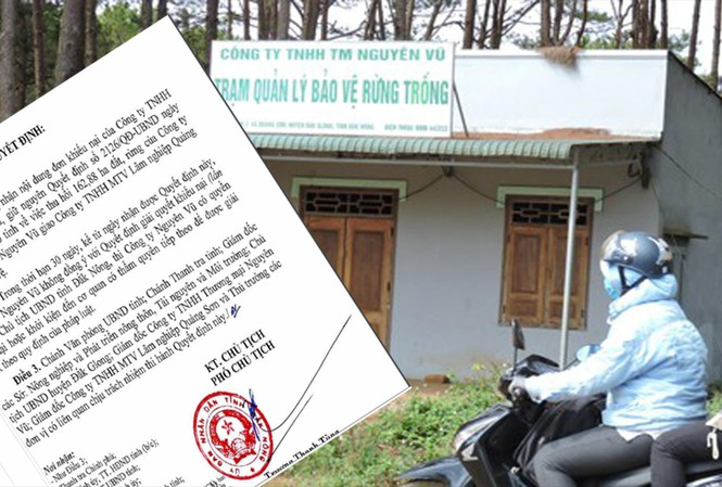 Công ty của vợ nguyên Phó giám đốc Công an tỉnh bán đất rừng trái phép - 1