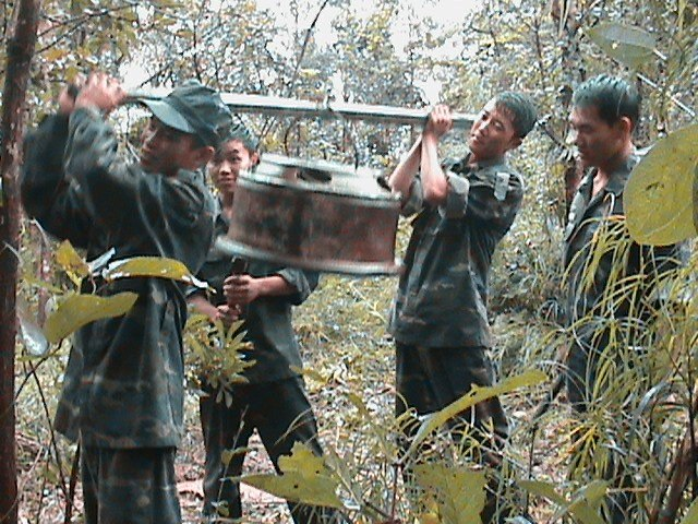 Hai đàn voi rừng liên tục phá hoại hoa màu ở Đắk Lắk - 2