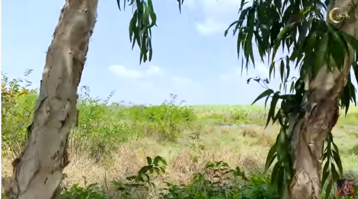Ca sĩ Minh Hằng khoe trang trại rộng 2000 m2 - 3