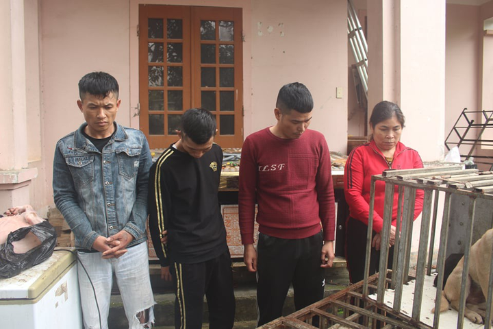 Nhóm cẩu tặc mang hung khí thực hiện hơn 100 vụ đánh bả khiến chó, mèo chết hàng loạt - 1
