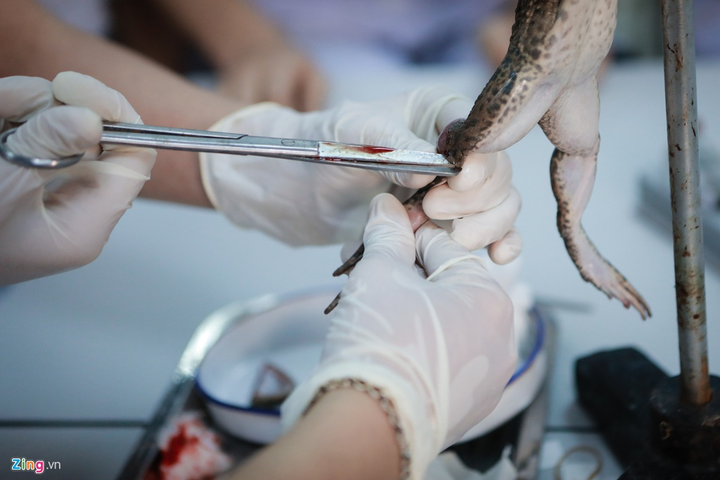 Đại học duy nhất ở Hà Nội không cho sinh viên nghỉ vì dịch Covid-19 - 5