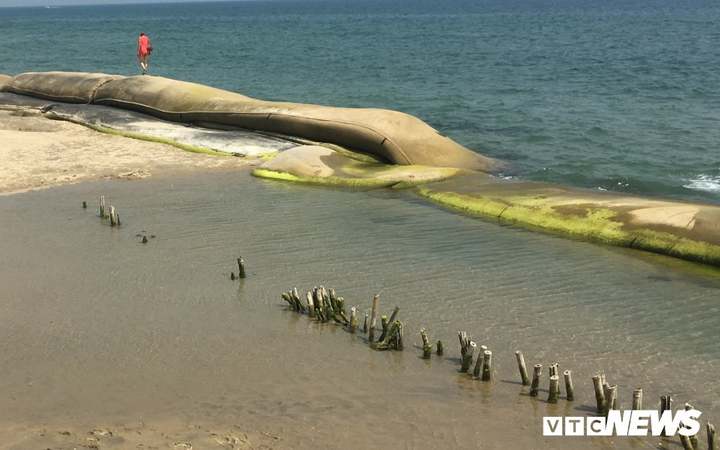 Quan chức và chuyên gia Hà Lan giúp Việt Nam cứu bờ biển Cửa Đại - 5