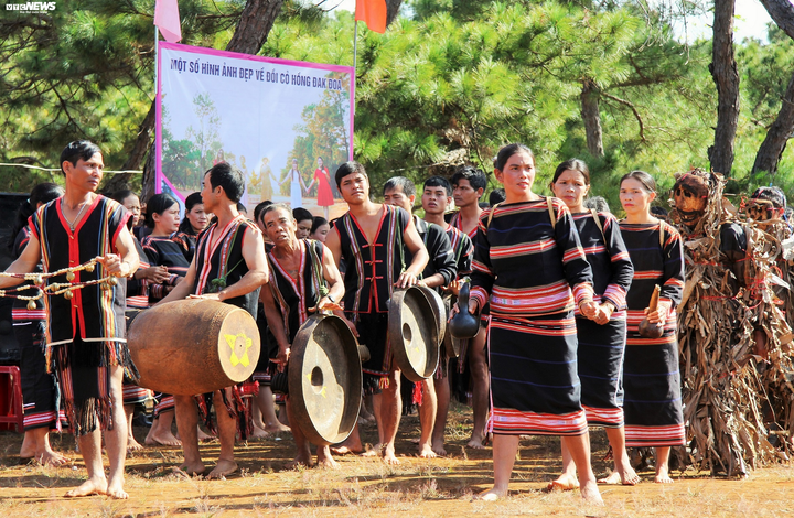 Người miệt mài gìn giữ thanh âm đại ngàn - 3