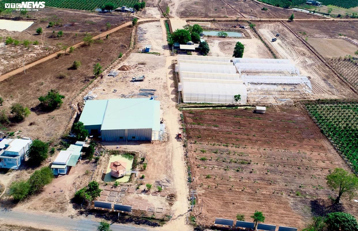 'Chật vật' vì COVID-19, doanh nghiệp Việt xoay xở thế nào? - 3