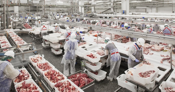 50.000 tấn thịt lợn đổ về, dân Việt được ăn lợn giá rẻ - 1