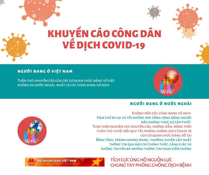 Dịch Covid-19: Công dân cần hạn chế đi lại giữa các nước và về Việt Nam - 1