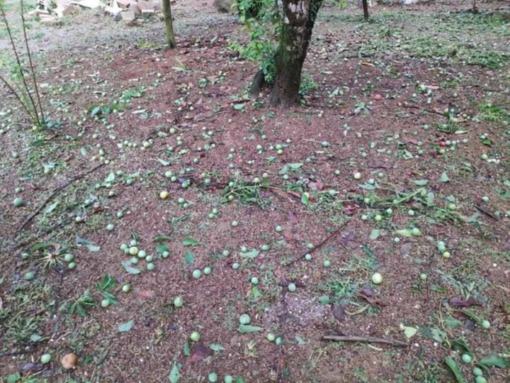 Mưa đá viên to bằng cái bát con làm thủng 500 mái nhà ở Sơn La - 1