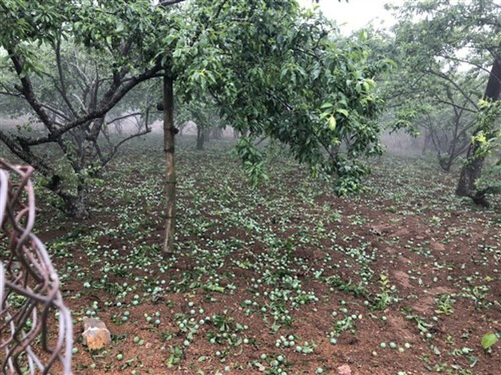 Mưa đá viên to bằng cái bát con làm thủng 500 mái nhà ở Sơn La - 2