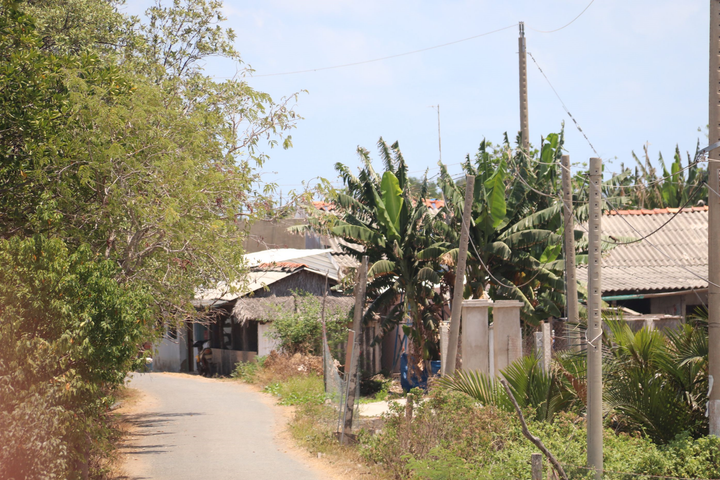 Bến Tre: Cận cảnh nơi phong tỏa gần 1.600 người liên quan bệnh nhân Covid-19 - 2