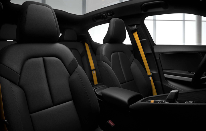 Xe thể thao điện Polestar 2 vẫn được sản xuất giữa 'cơn bão' đóng cửa nhà máy - 11