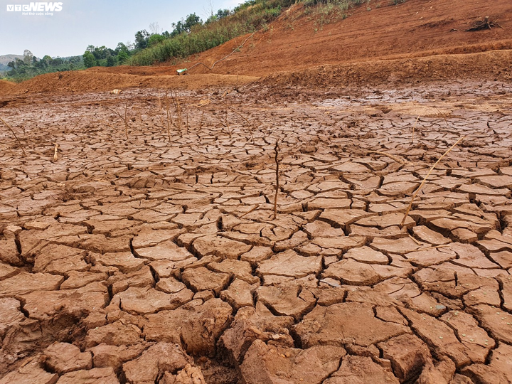 Ảnh: Hồ thủy lợi trơ đáy, nông dân Đắk Lắk còng lưng kéo ống nước về rẫy - 9
