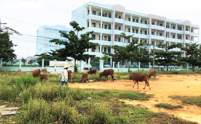 Quảng Nam lập tổ công tác gỡ vướng cho dự án 23 năm chưa hoàn thành - 1