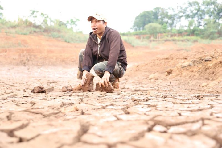 Ảnh: Hồ thủy lợi trơ đáy, nông dân Đắk Lắk còng lưng kéo ống nước về rẫy - 3