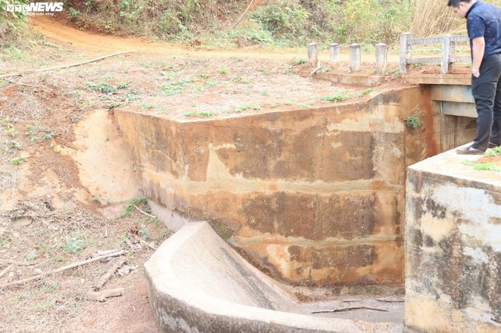 Ảnh: Hồ thủy lợi trơ đáy, nông dân Đắk Lắk còng lưng kéo ống nước về rẫy - 2