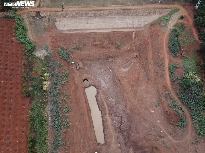 Ảnh: Hồ thủy lợi trơ đáy, nông dân Đắk Lắk còng lưng kéo ống nước về rẫy - 1