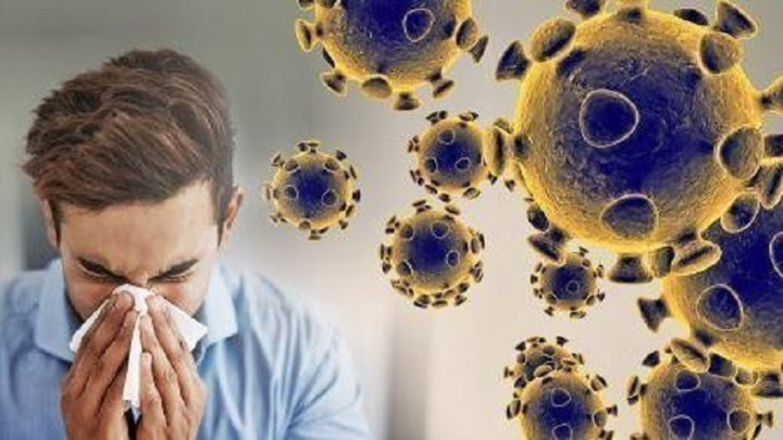 Có thể dập tắt đại dịch Covid-19 khi mùa hè tới? - 2