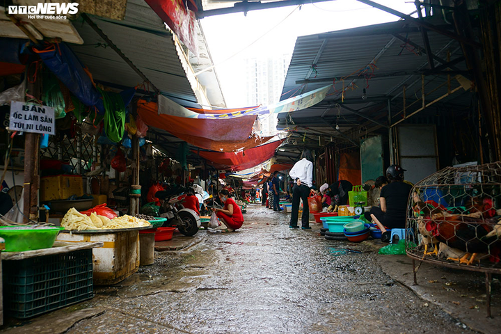 Ngày đầu Hà Nội tạm đóng cửa hàng dịch vụ không thiết yếu: Dồi dào hàng hóa ở chợ - 7
