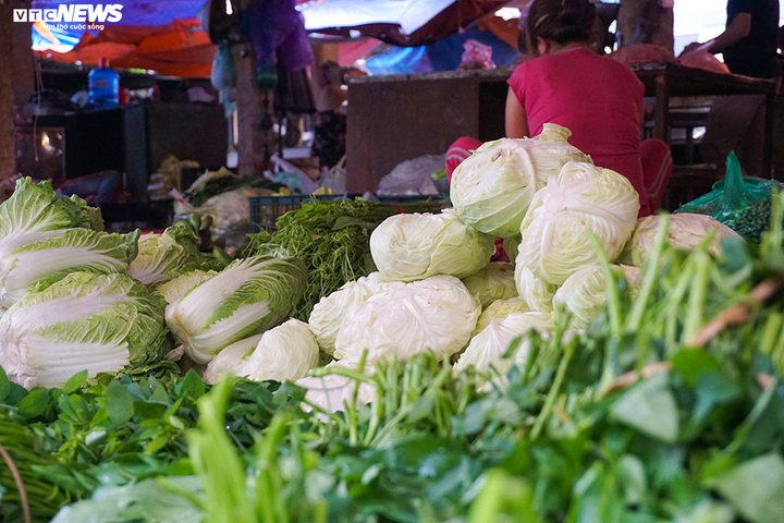 Ngày đầu Hà Nội tạm đóng cửa hàng dịch vụ không thiết yếu: Dồi dào hàng hóa ở chợ - 10