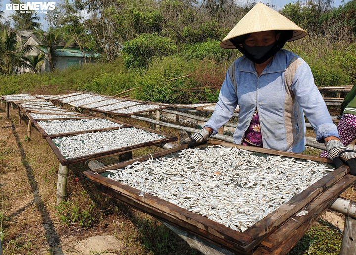 Ảnh: Làng nghề hấp cá ở Bình Minh tất bật vào vụ - 10