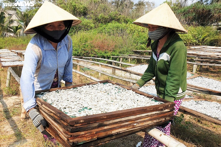 Ảnh: Làng nghề hấp cá ở Bình Minh tất bật vào vụ - 9