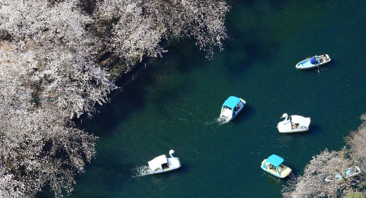 Chiến lược đặc biệt giúp Nhật Bản ngăn chặn thành công Covid-19 - 1