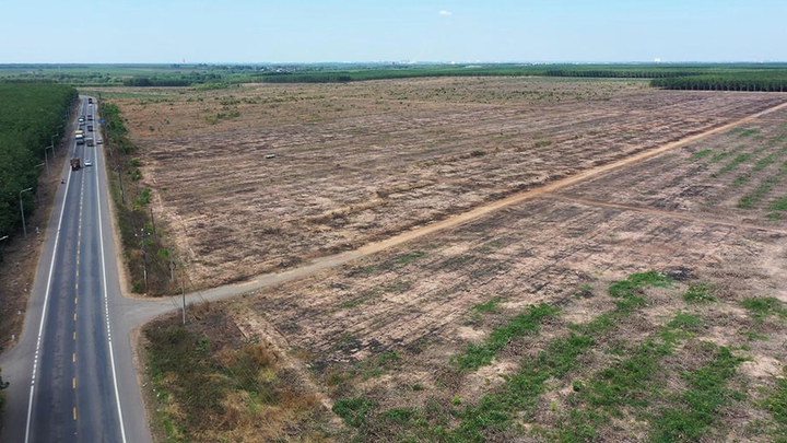 Kim Oanh khởi động dự án 48,9 ha và cất nóc căn hộ The EastGate - 2