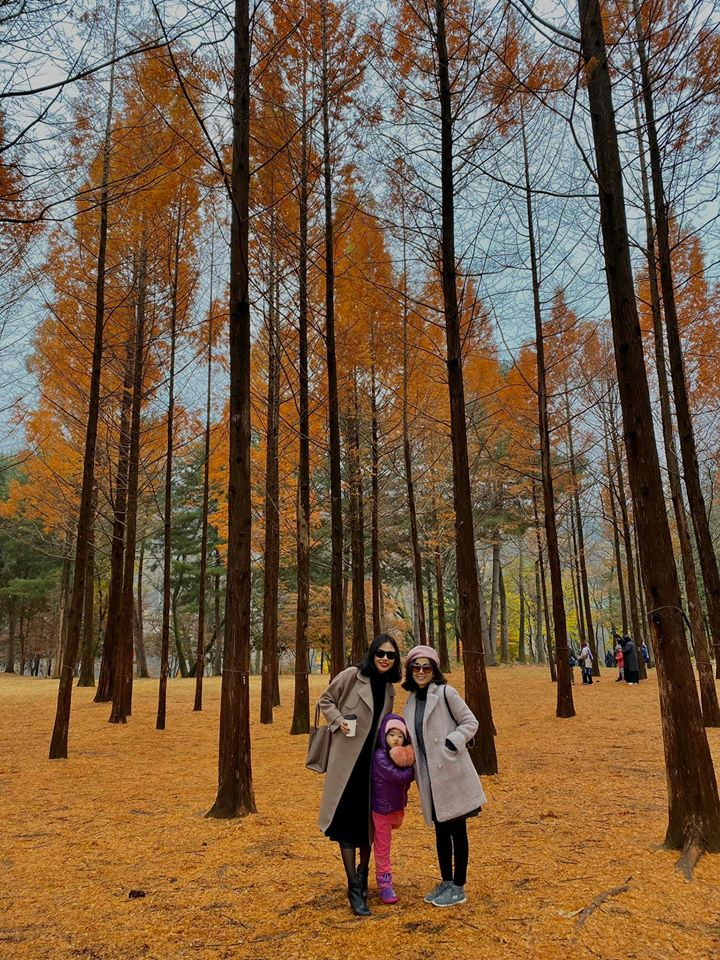 Những ngày cuối cùng của diễn viên Mai Phương - 5