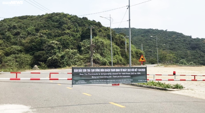 Dân ùn ùn lên núi dã ngoại, Đà Nẵng đóng cửa bán đảo Sơn Trà - 8