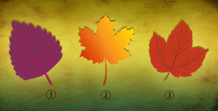 Chọn một chiếc lá để đoán biết số phận của bạn trong tương lai - 1