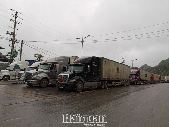 Trung Quốc không tiếp nhận lái xe từ 5 địa phương có nguy cơ dịch của Việt Nam? - 2