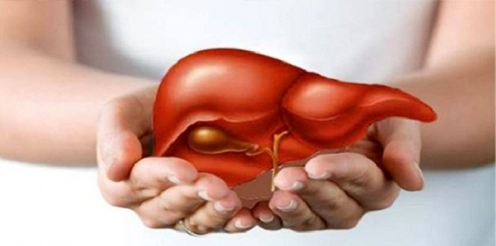 Đột phá trong khắc chế bệnh gan nhờ kết hợp các dược liệu quý - 2