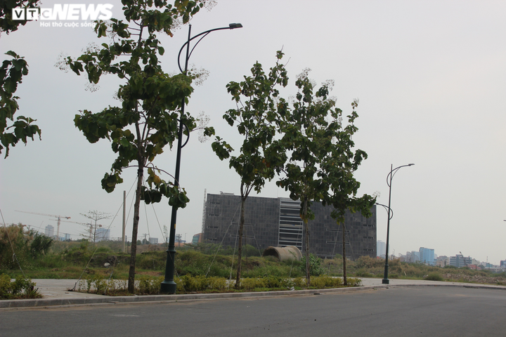 TP.HCM xin ý kiến Bộ Xây dựng để sáp nhập 3 quận phía Đông - 1