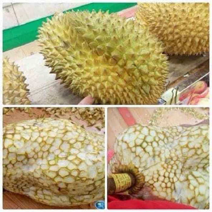 Cười ngất với muôn vàn kiểu 'giết' thời gian trong những ngày cách ly xã hội - 10