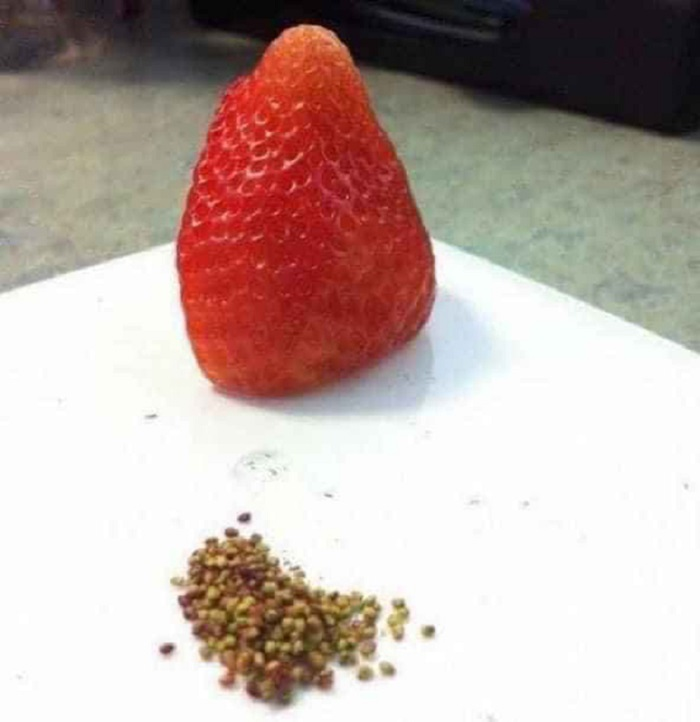 Cười ngất với muôn vàn kiểu 'giết' thời gian trong những ngày cách ly xã hội - 7