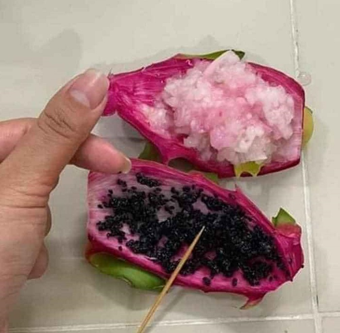 Cười ngất với muôn vàn kiểu 'giết' thời gian trong những ngày cách ly xã hội - 6