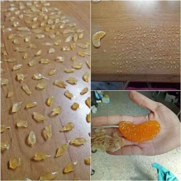 Cười ngất với muôn vàn kiểu 'giết' thời gian trong những ngày cách ly xã hội - 12