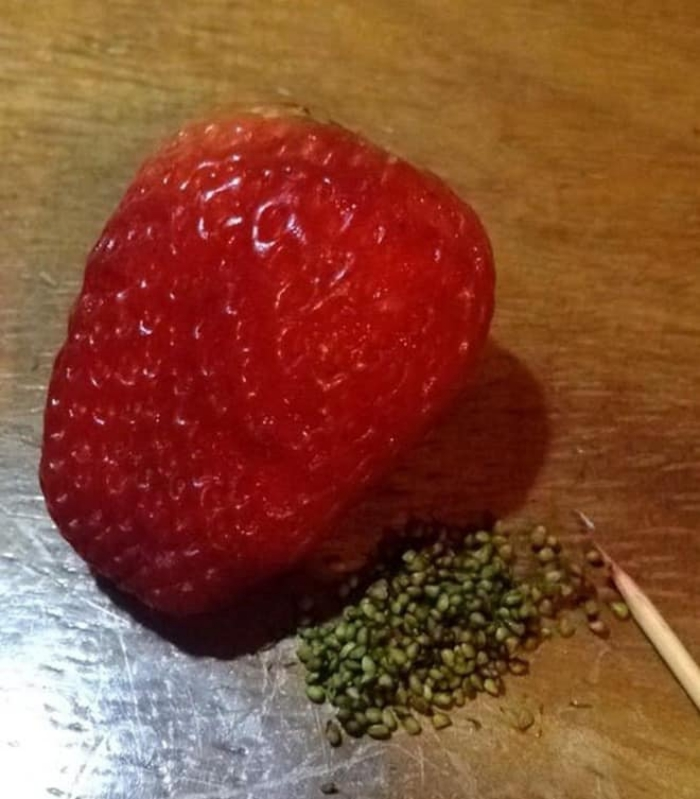 Cười ngất với muôn vàn kiểu 'giết' thời gian trong những ngày cách ly xã hội - 8