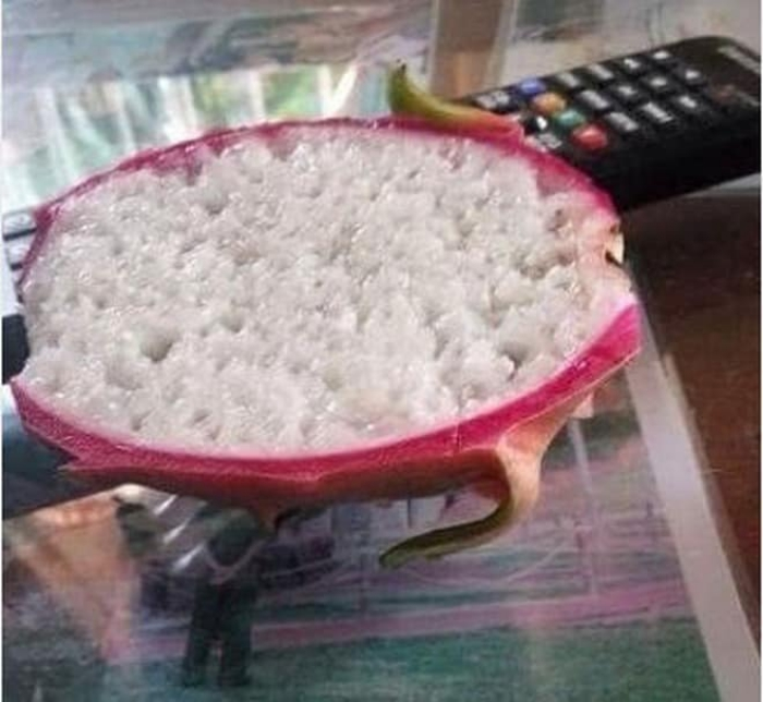 Cười ngất với muôn vàn kiểu 'giết' thời gian trong những ngày cách ly xã hội - 5