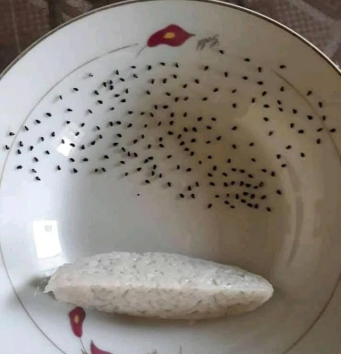 Cười ngất với muôn vàn kiểu 'giết' thời gian trong những ngày cách ly xã hội - 4