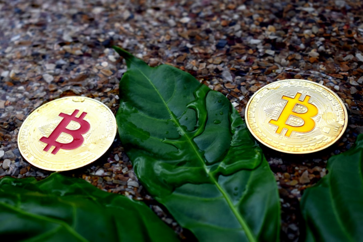 Giá Bitcoin hôm nay 3/9: Thị trường lại ‘nhuốm máu’, Bitcoin rơi tự do - 1