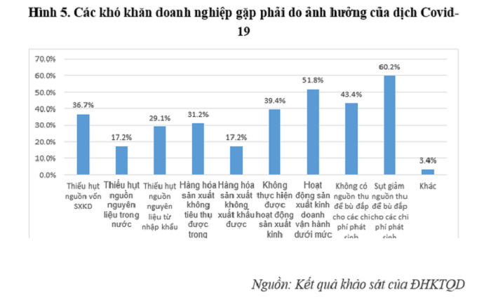 Đại dịch Covid-19: Hơn 15% doanh nghiệp Việt phải cắt giảm quy mô sản xuất - 3