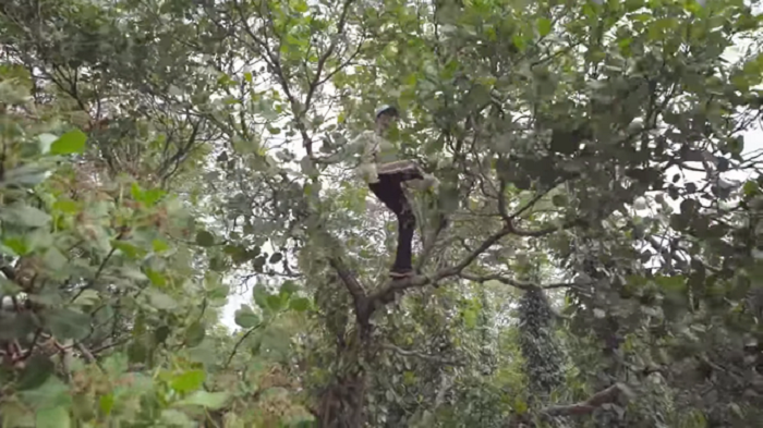 H'Hen Niê: 'Làm hoa hậu xong mới có người vớt, nhẹ hết cả người' - 5