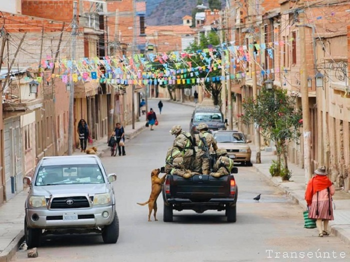 Sự thật bức ảnh chú chó chạy theo đoàn xe tuần tra chống dịch - 1