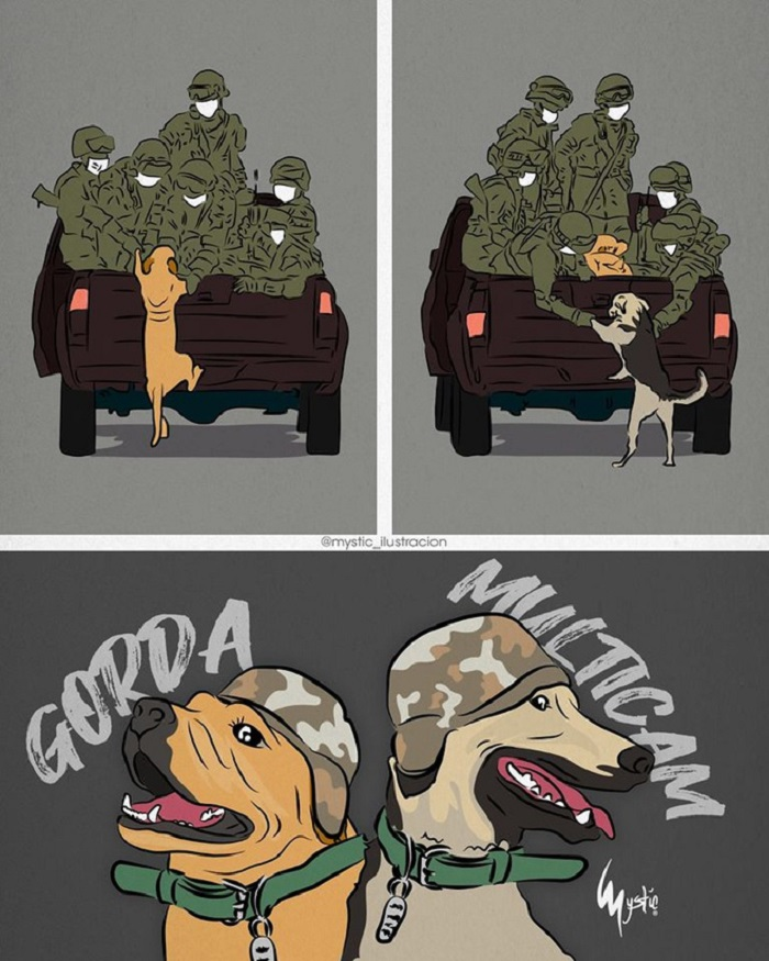 Sự thật bức ảnh chú chó chạy theo đoàn xe tuần tra chống dịch - 6