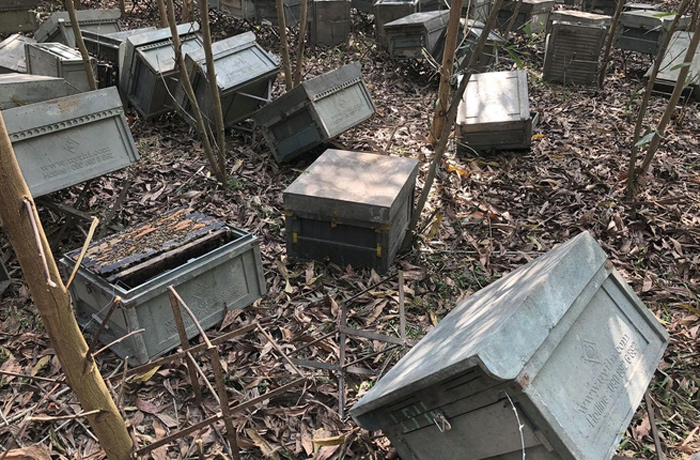 Sợ lây Covid-19, nhóm thanh niên dọa giết ông chủ và công nhân trại ong - 2