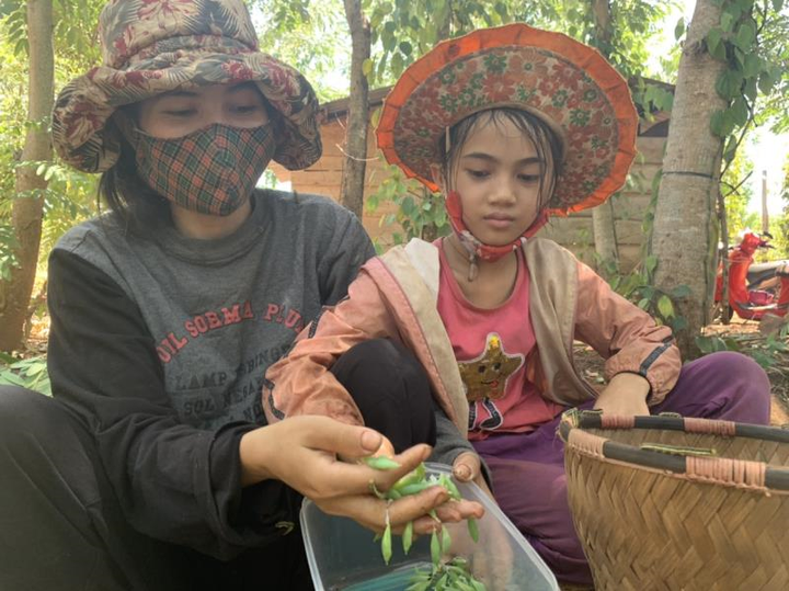  Bỏ túi bạc triệu mỗi ngày nhờ đi săn ‘tôm rừng’ Tây Nguyên - 2