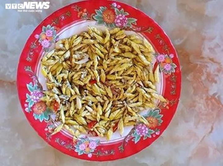  Bỏ túi bạc triệu mỗi ngày nhờ đi săn ‘tôm rừng’ Tây Nguyên - 3